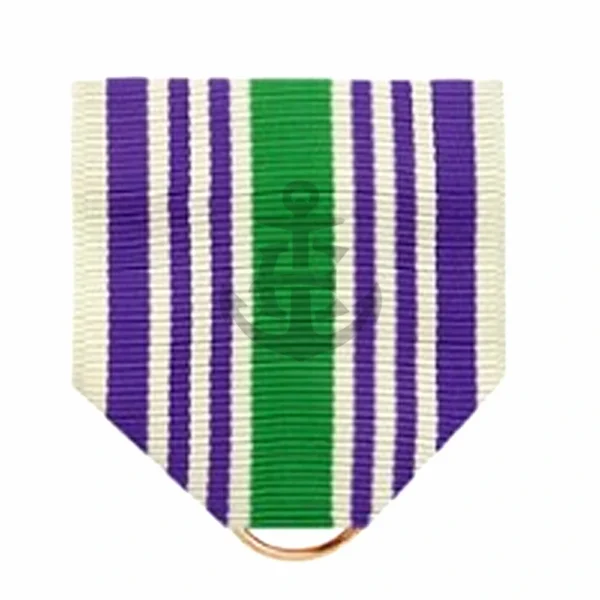 DISTINGUISHED CADET AWARD DRAPE