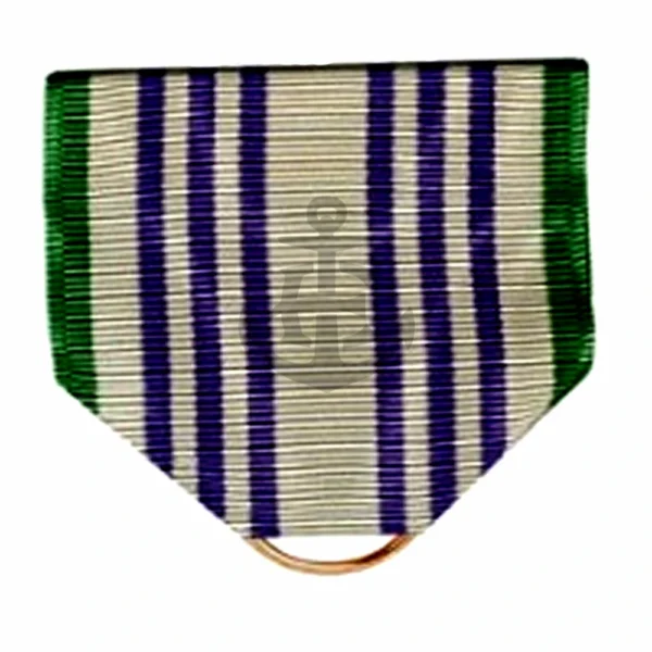 SENIOR ARMY INSTRUCTOR LEADERSHIP DRAPE