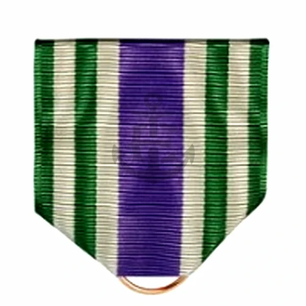 SENIOR ARMY INSTRUCTOR LEADERSHIP DRAPE