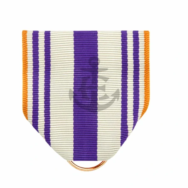 SILVER MEDAL ATHLETE DRAPE